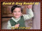 David and Greg Mandel as Adam Stephens (Bewitched) 